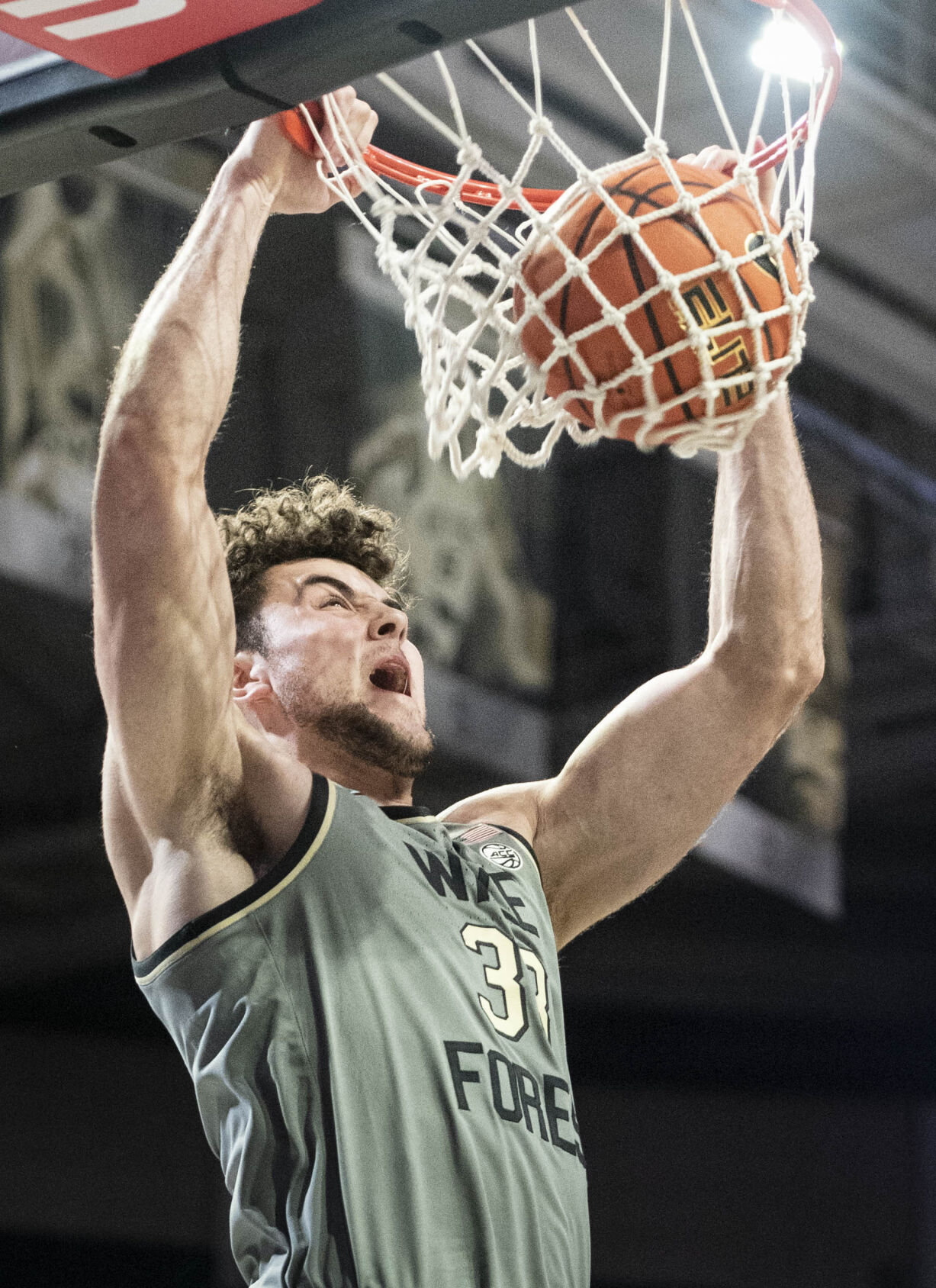 Wake Forest Utah Valley Mens Basketball